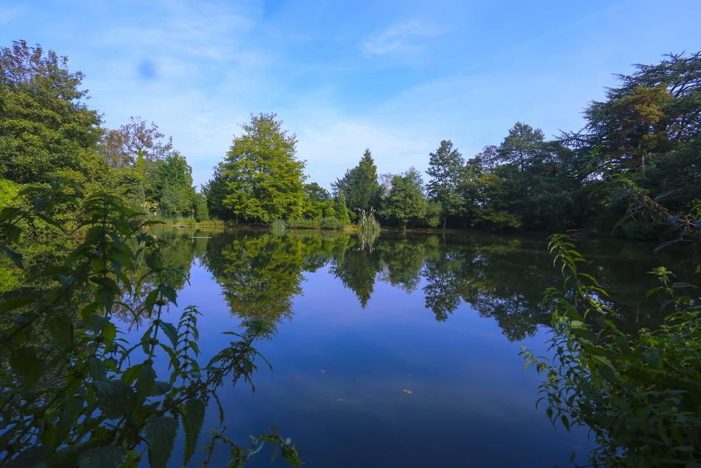Worplesdon Place Hotel Гілфорд Номер фото